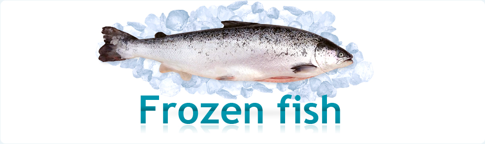 Frozen salmon
